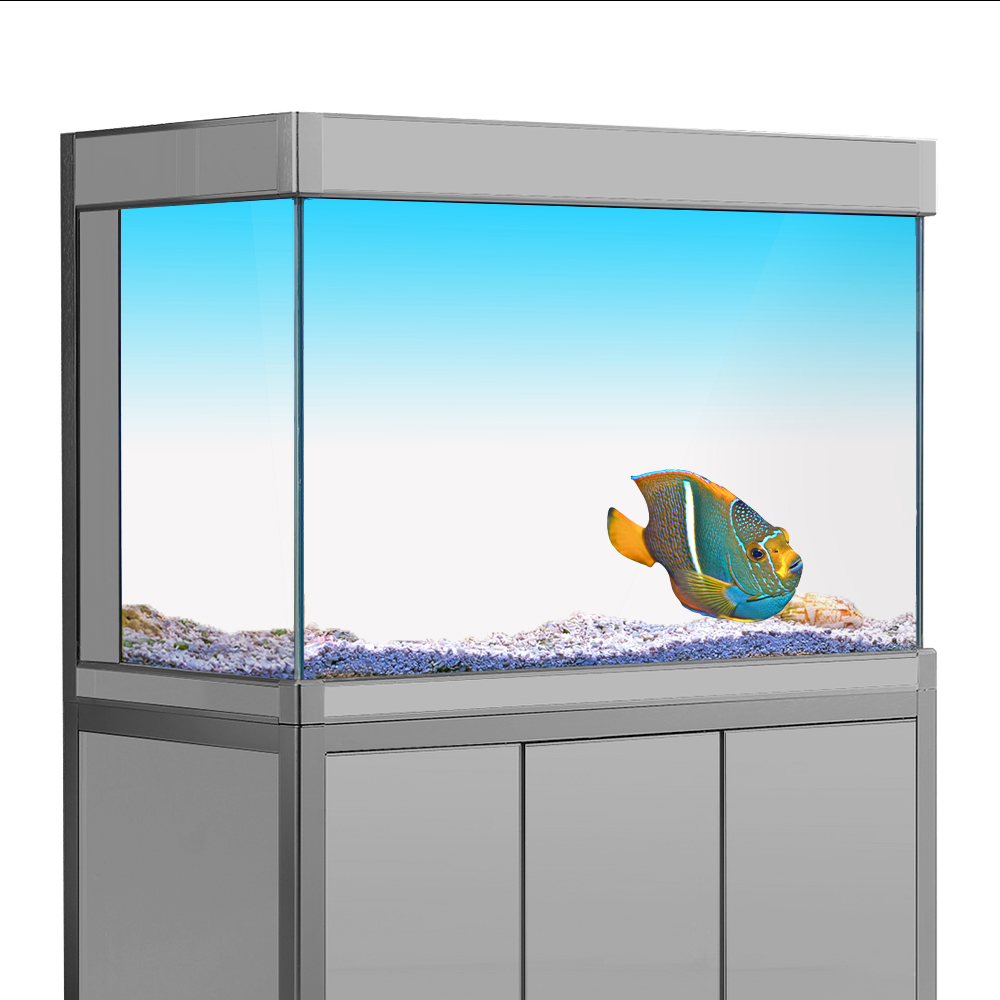 Aquarium Fish Wallpaper - 물고기 탱크 배경 스티커 흰색 노란색