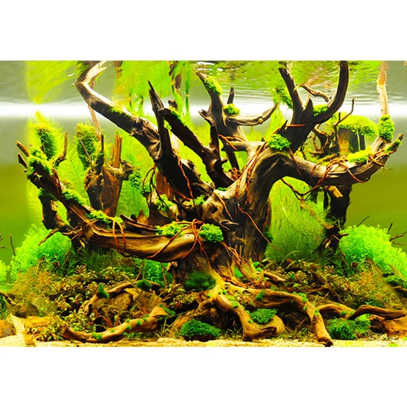 Aquarium Fish Wallpaper - 50cm 수족관 장식 방수 두꺼운 배경