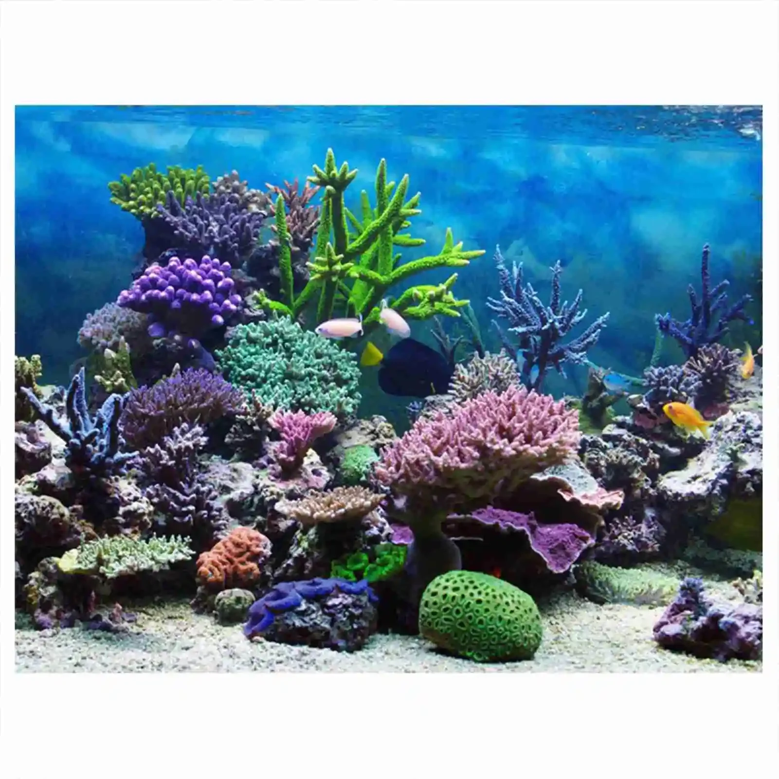 Aquarium Fish Wallpaper - 3D 수족관 풍경 포스터 벽지, 열대우림