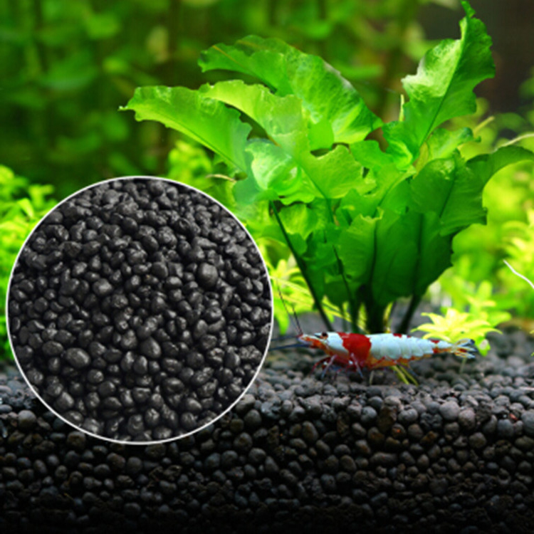 Aquarium Fish Buy - 수족관 식물 씨앗 토양 어항 기판