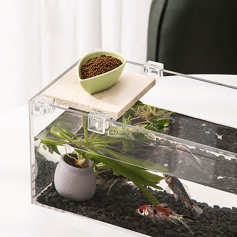 4PCS 아크릴 물고기 탱크 커버 홀더 지우기 클립 홀 - Aquarium Fish Buy 리뷰 및 가격