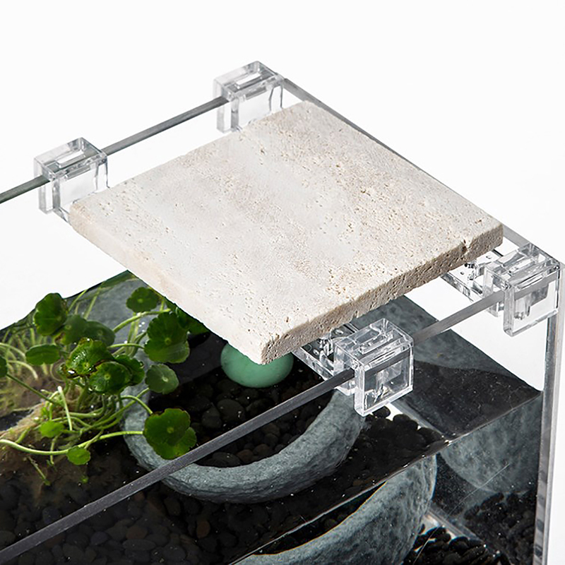 4PCS 아크릴 물고기 탱크 커버 홀더 지우기 클립 홀 - Aquarium Fish Buy 리뷰 및 가격