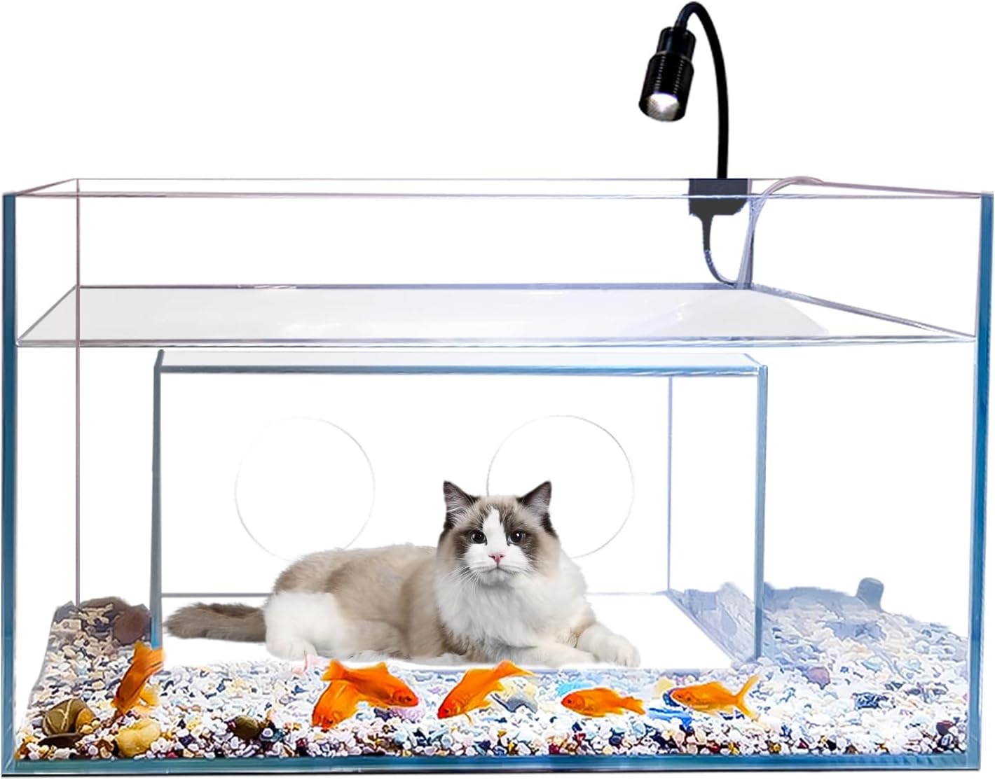 고양이 집과 아파트 장난감 어항, 창의적이고 재미있는  - Fish Toys For Aquarium 리뷰 및 가격