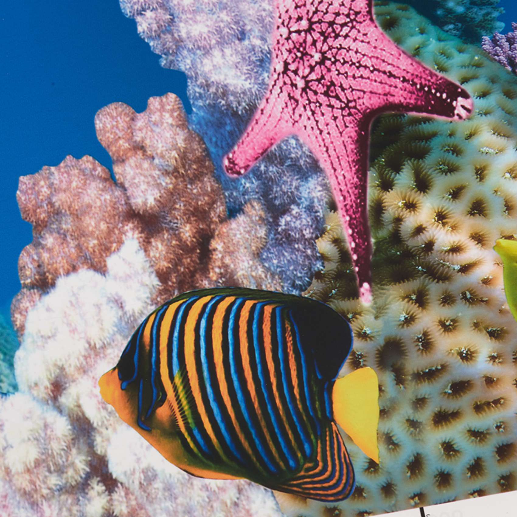 ABWR-수족관 배경지 HD 사진 7D 입체 어항 배경 - Aquarium Fish Wallpaper 리뷰 및 가격