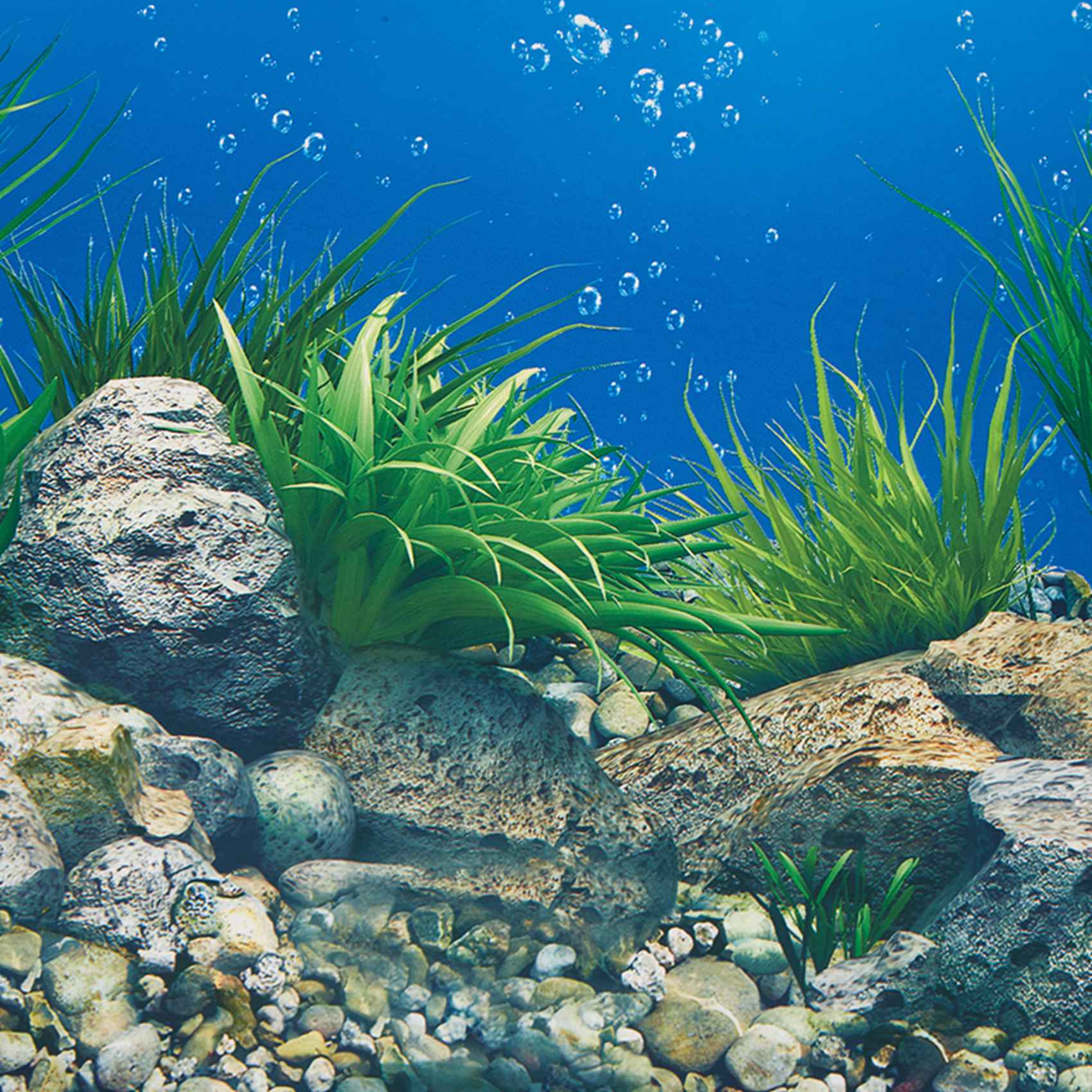 ABWR-수족관 배경지 HD 사진 7D 입체 어항 배경 - Aquarium Fish Wallpaper 리뷰 및 가격