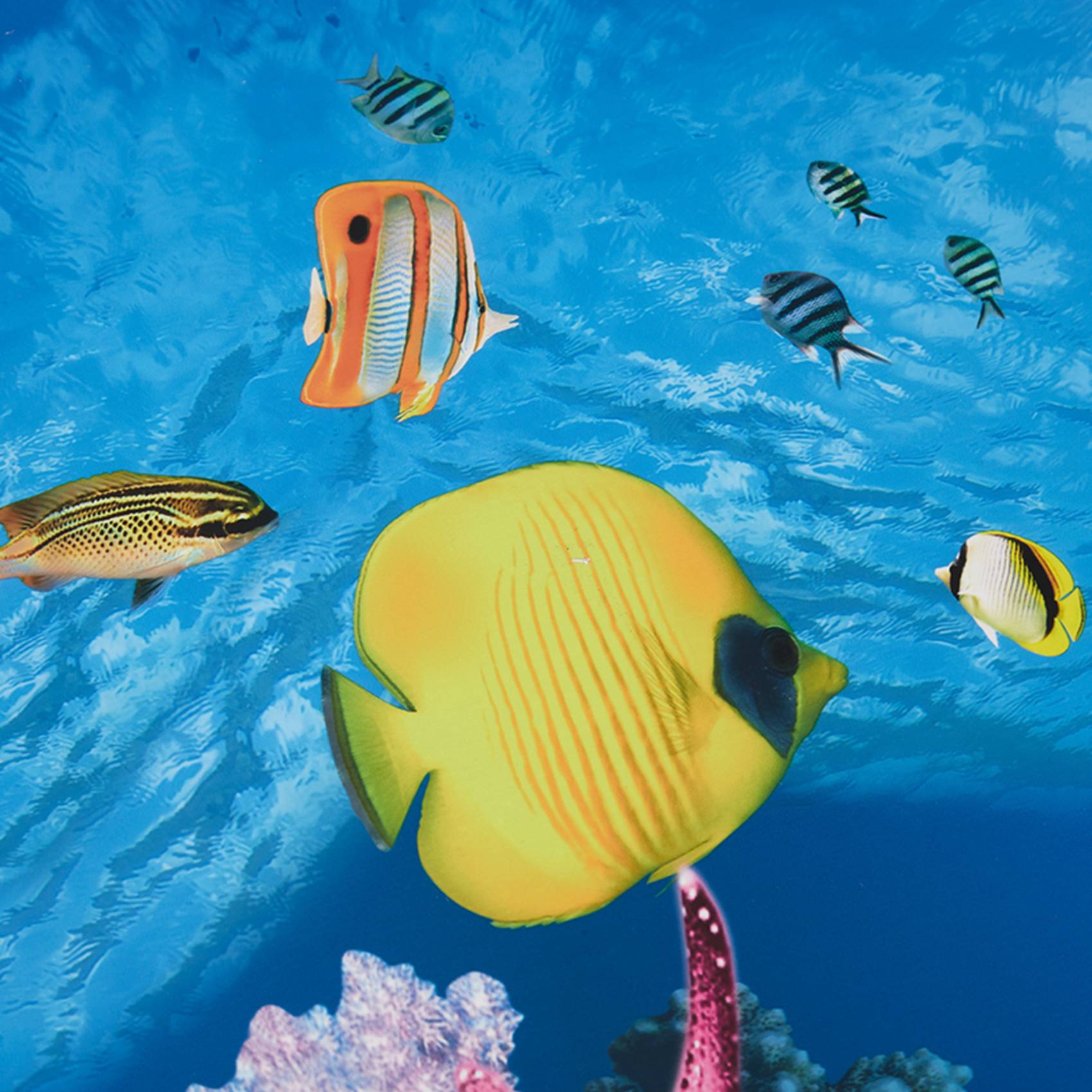 ABWR-수족관 배경지 HD 사진 7D 입체 어항 배경 - Aquarium Fish Wallpaper 리뷰 및 가격