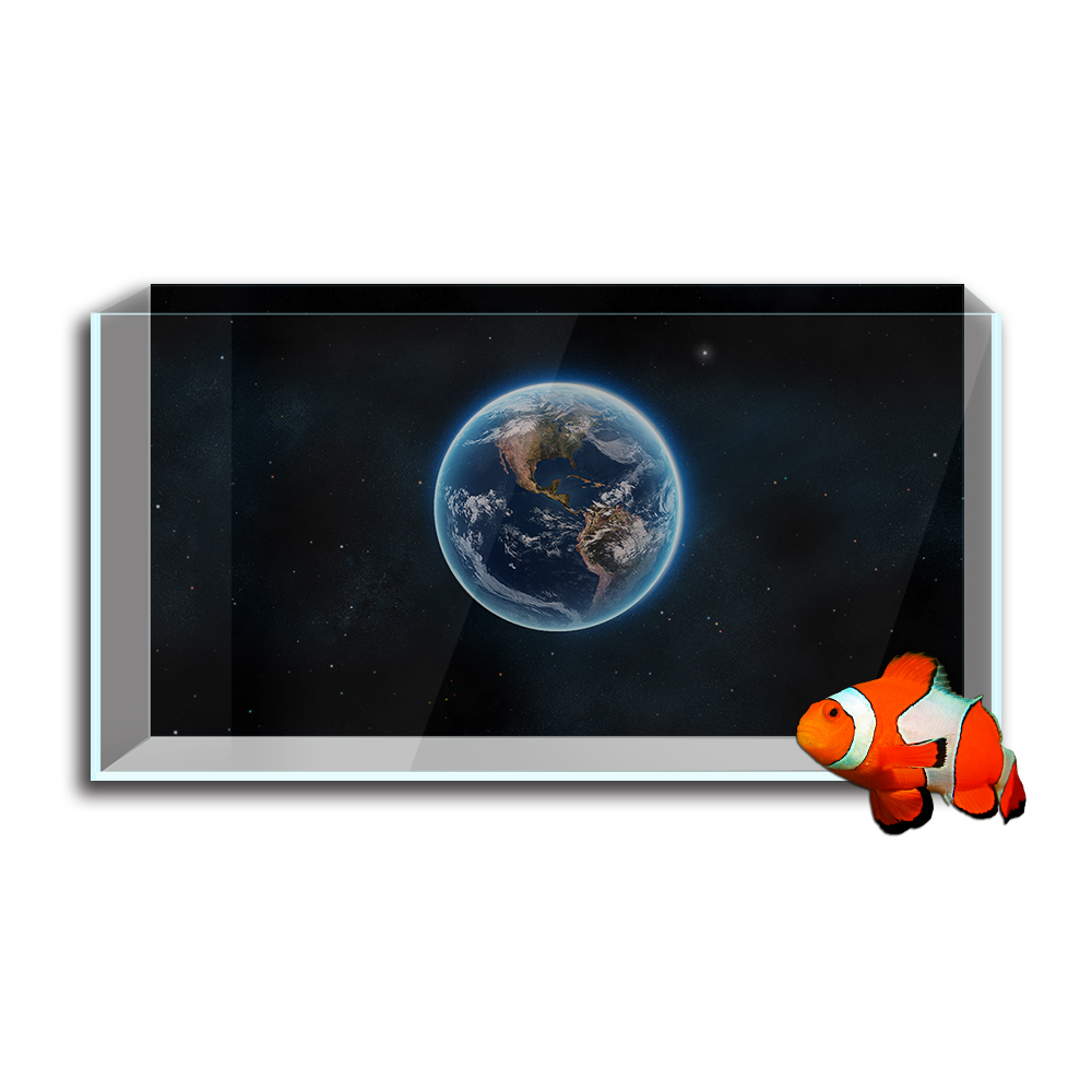 수족관 물고기 탱크 배경 스티커, 지구 행성 공간 HD - Aquarium Fish Wallpaper 리뷰 및 가격