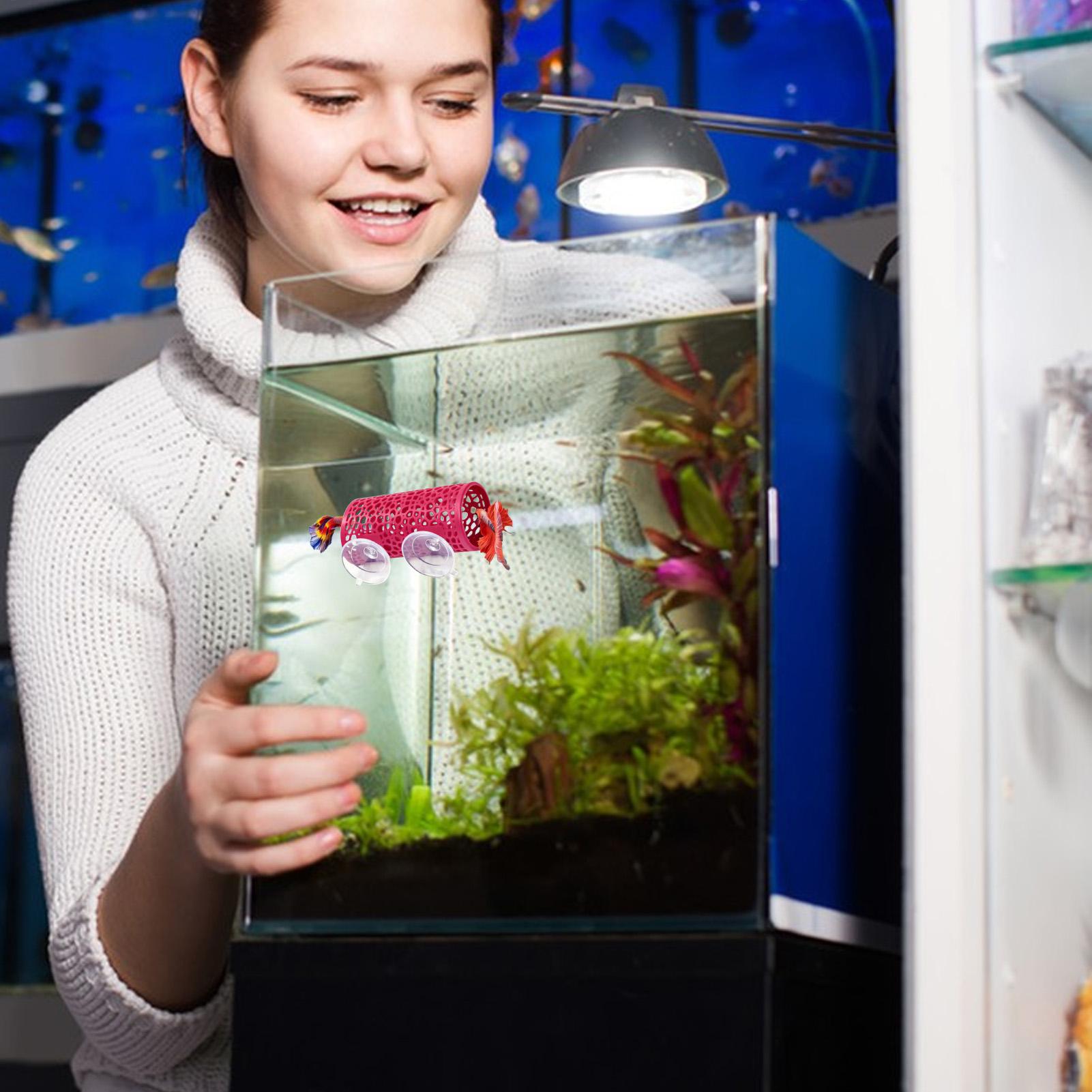 베타 생태 환경 휴식처 장식품 물고기 터널 장난감, 수 - Fish Toys For Aquarium 리뷰 및 가격
