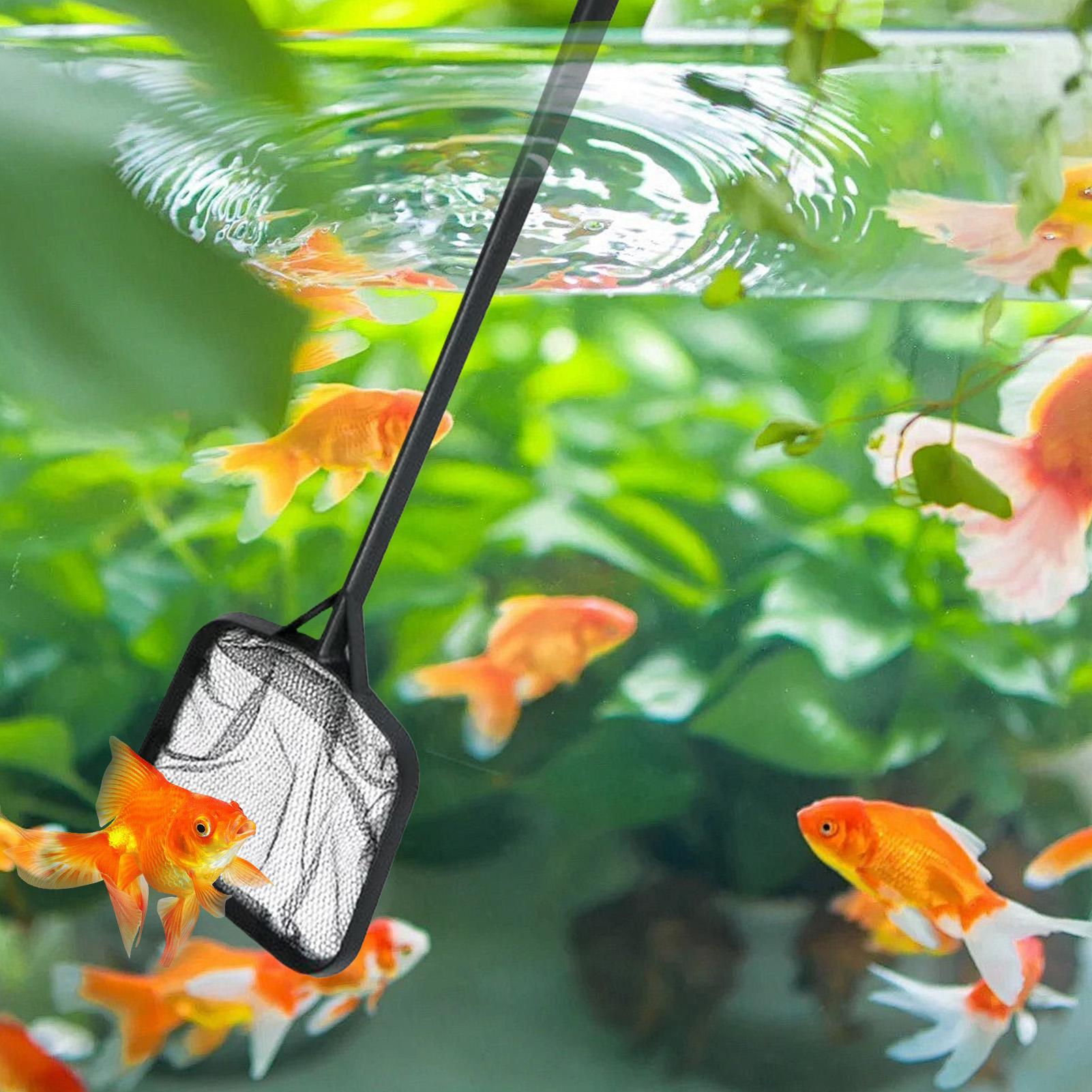 휴대용 수영장 청소용 그물망, 분수 청소용품, 수족관/ - Aquarium Fish Buy 리뷰 및 가격