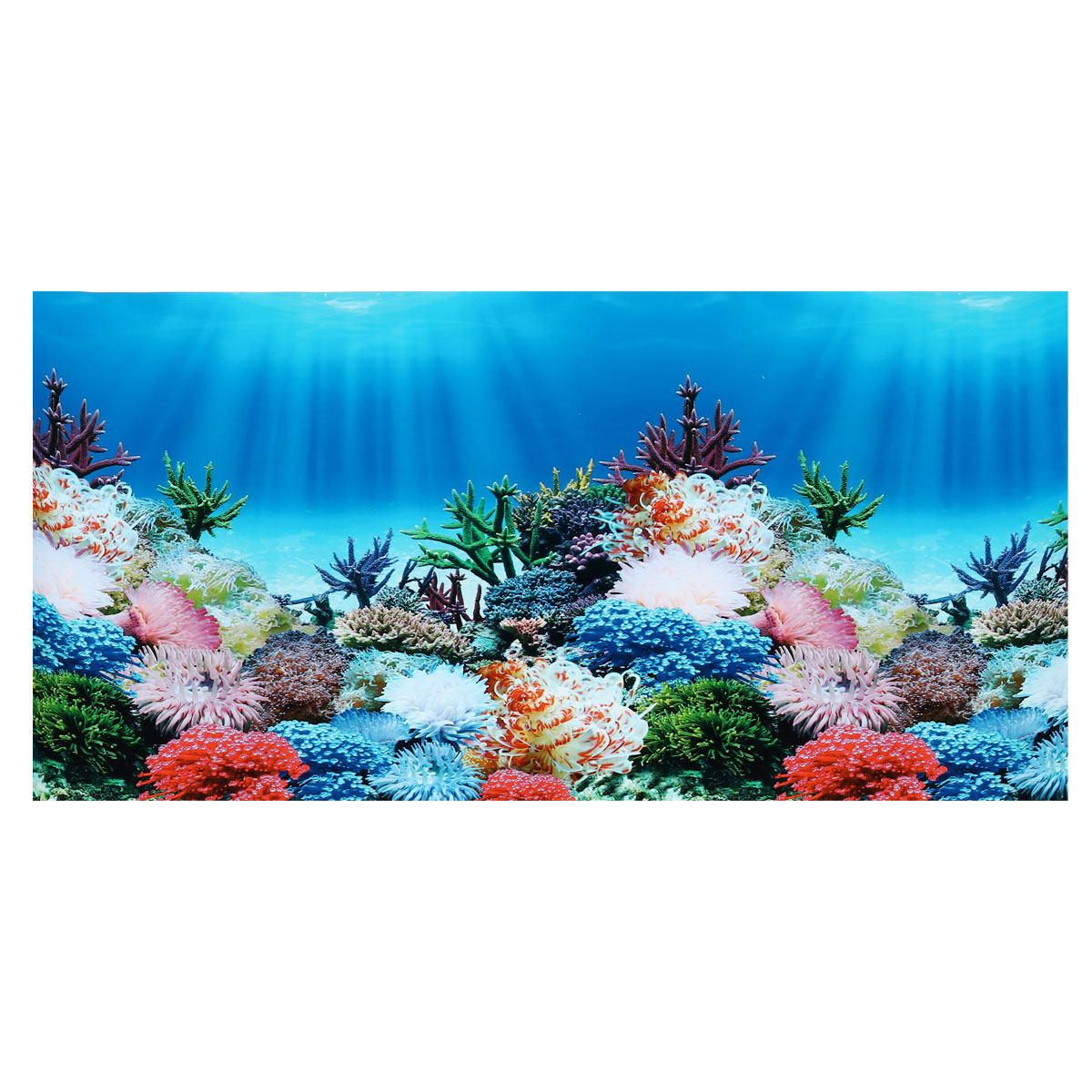 수족관 배경 데칼 양면 벽 스티커 3D 해양 풍경 벽지 - Aquarium Fish Wallpaper 리뷰 및 가격