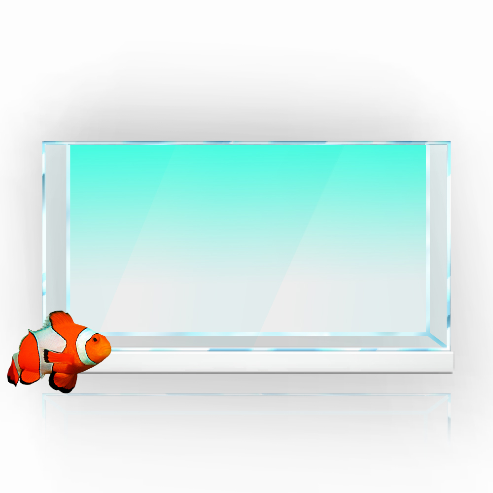 물고기 탱크 배경 스티커 흰색 노란색 녹색 파란색 청록 - Aquarium Fish Wallpaper 리뷰 및 가격