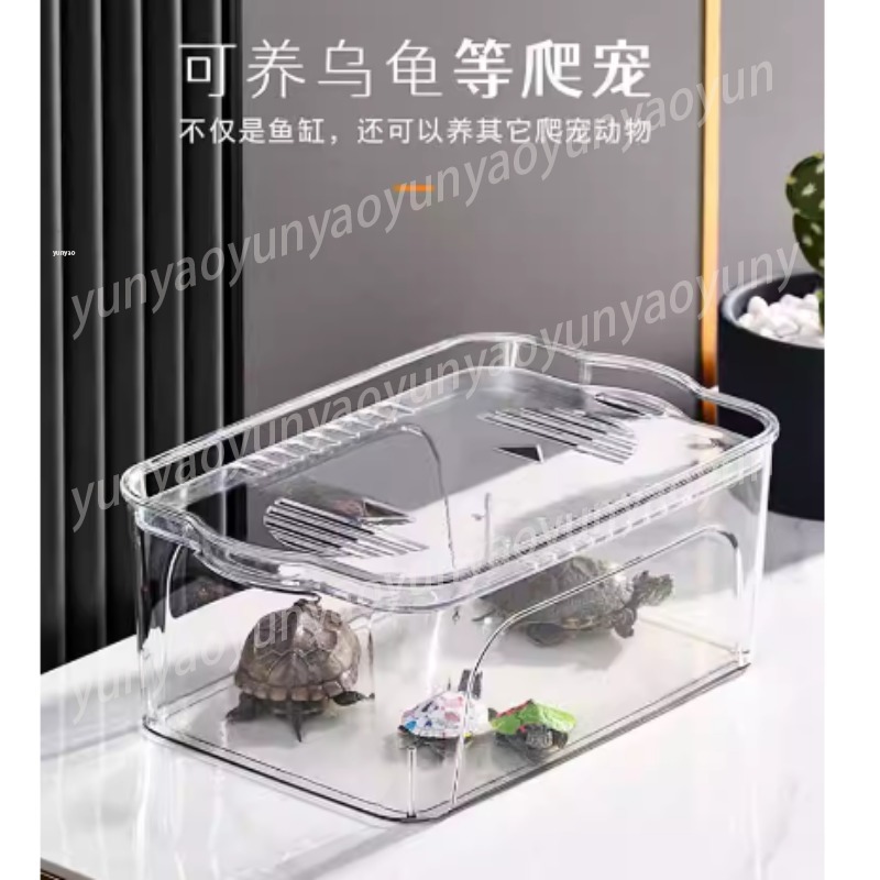 투명 플라스틱 미니 어류 사육 수족관, 교체 부품이 없 - Aquarium Fish Unique 리뷰 및 가격