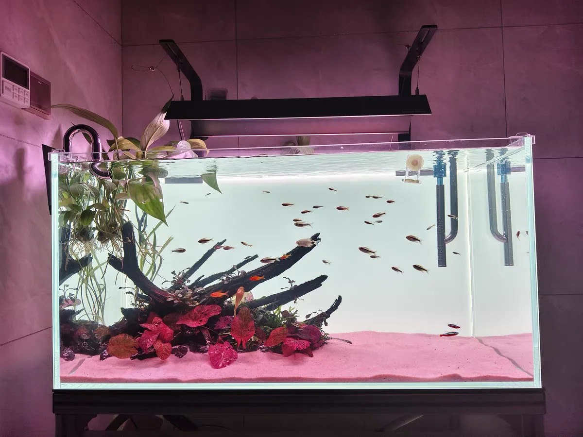 RGB 아크릴 어항 배경 화려한 그라데이션 발광 APP - Aquarium Fish Colour 리뷰 및 가격
