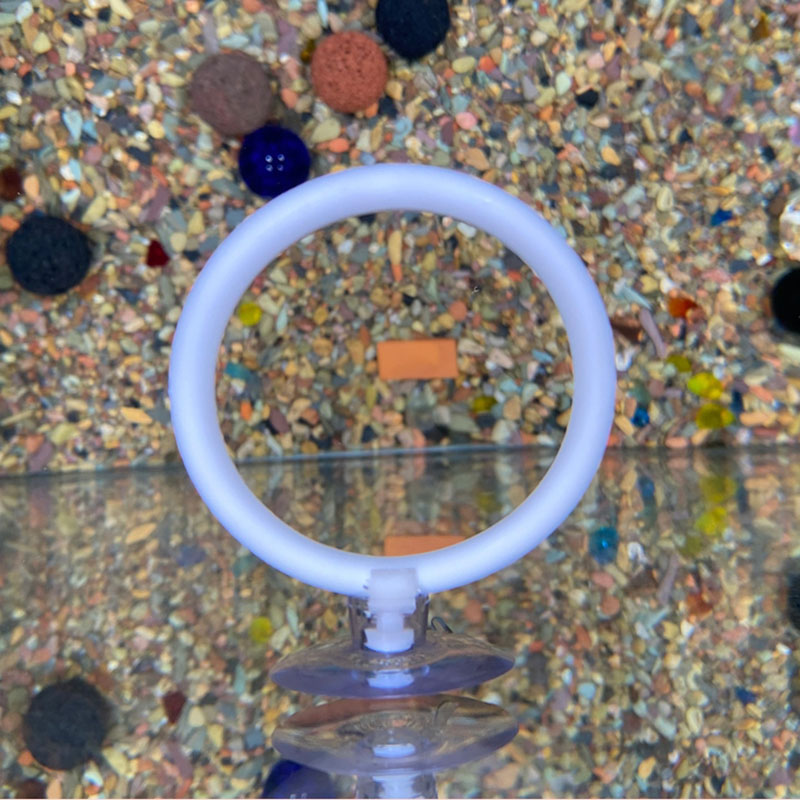 1개 플라스틱 어항 수족관 인공 훈련 링 후프 세트 ( - Fish Toys For Aquarium 리뷰 및 가격