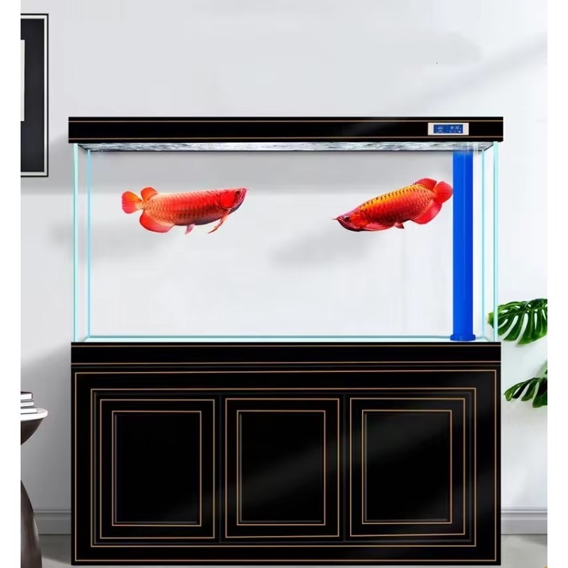 어항 거실 가정용 초투명 유리 중대형 수족관 바닥 필터 - Aquarium Fish Dragon 리뷰 및 가격