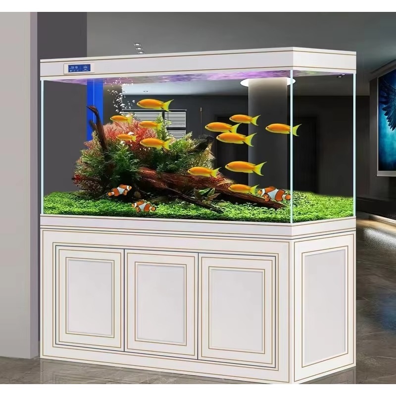 어항 거실 가정용 초투명 유리 중대형 수족관 바닥 필터 - Aquarium Fish Dragon 리뷰 및 가격