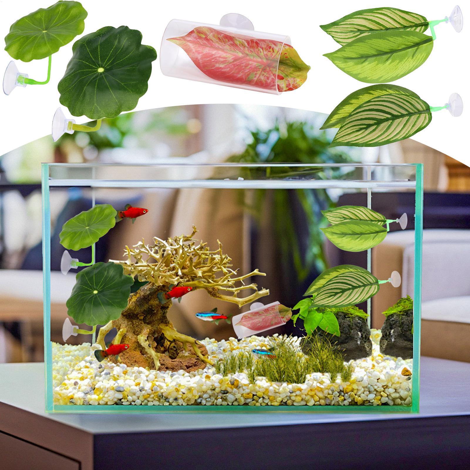 베타 물고기 해먹 5개 조절 가능한 베타 잎 해먹 물고 - Fish Toys For Aquarium 리뷰 및 가격