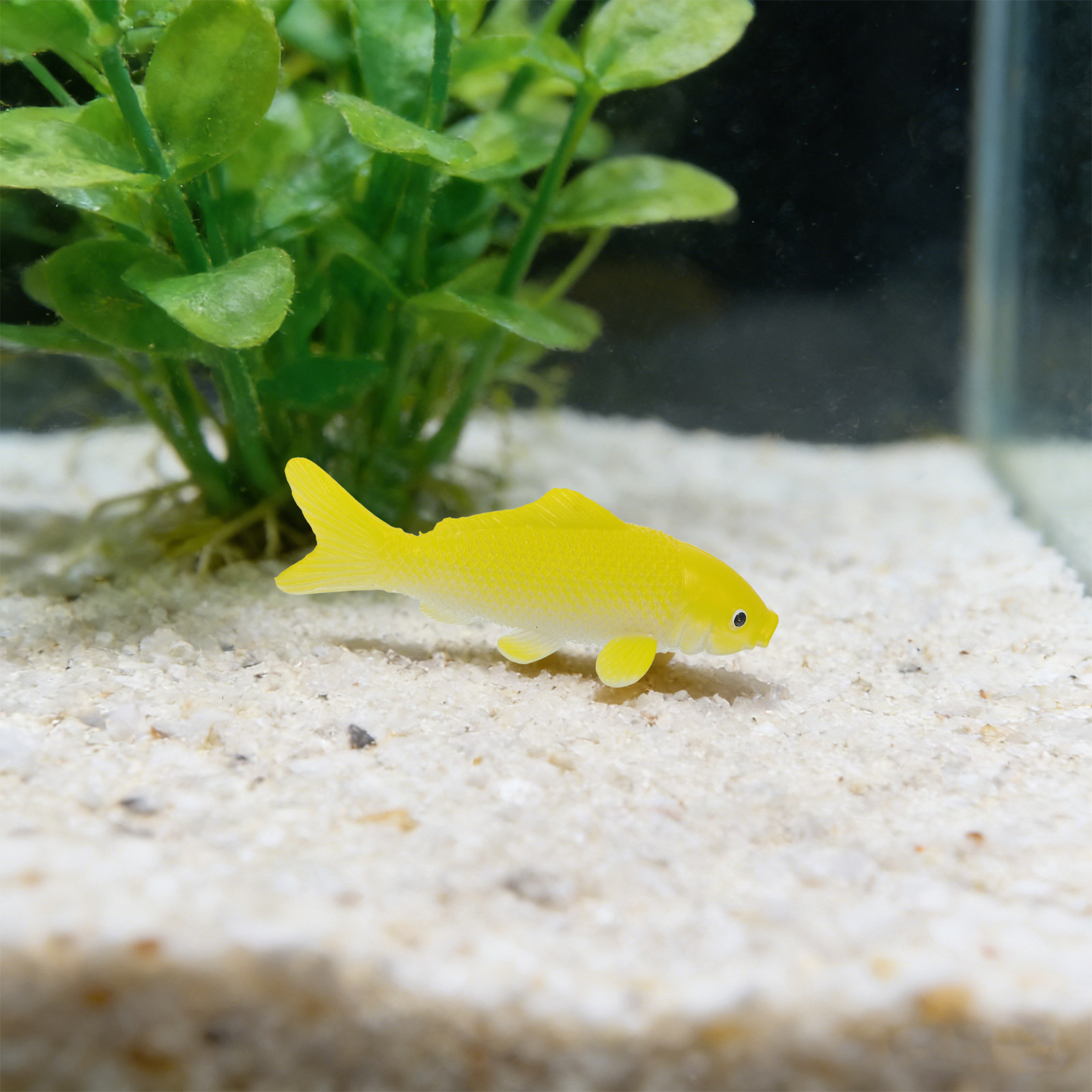 3pcs 물고기 공예 장난감 현실적인 플라스틱 물고기  - Fish Toys For Aquarium 리뷰 및 가격