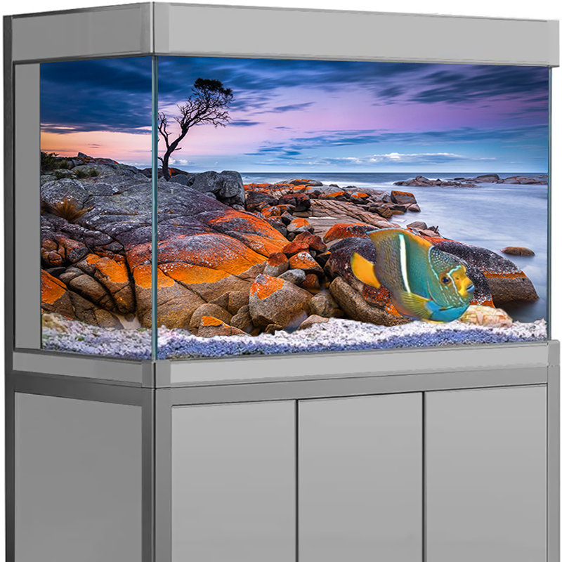 수족관 배경 스티커 돌 바다 풍경 포스터 어항 장식 셀 - Aquarium Fish Wallpaper 리뷰 및 가격