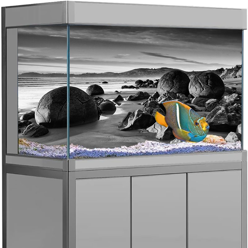 수족관 배경 스티커 돌 바다 풍경 포스터 어항 장식 셀 - Aquarium Fish Wallpaper 리뷰 및 가격
