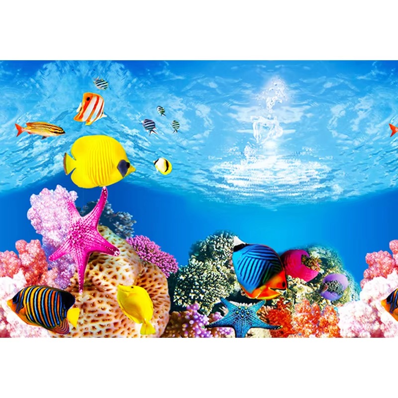 50cm 수족관 장식 방수 두꺼운 배경 양면 어항 벽지 - Aquarium Fish Wallpaper 리뷰 및 가격