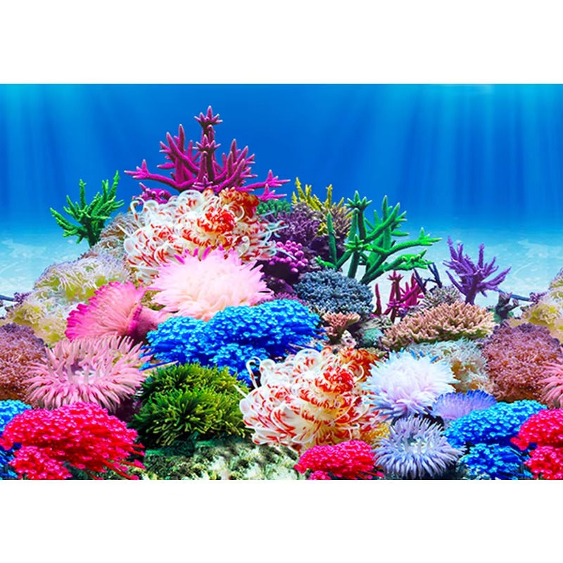 50cm 수족관 장식 방수 두꺼운 배경 양면 어항 벽지 - Aquarium Fish Wallpaper 리뷰 및 가격