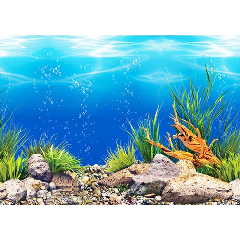 50cm 수족관 장식 방수 두꺼운 배경 양면 어항 벽지 - Aquarium Fish Wallpaper 리뷰 및 가격