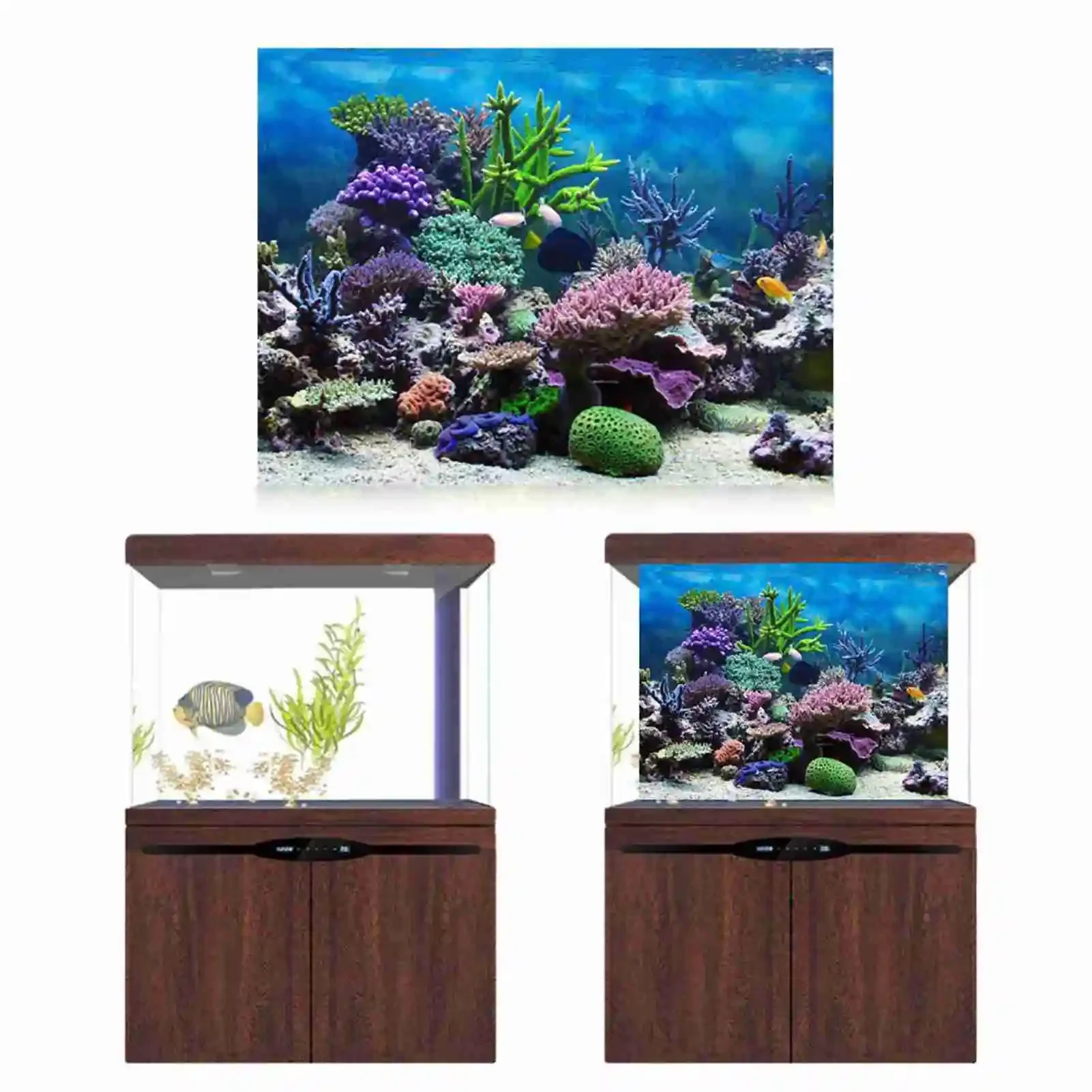 3D 수족관 풍경 포스터 벽지, 열대우림 어항 배경 장 - Aquarium Fish Wallpaper 리뷰 및 가격