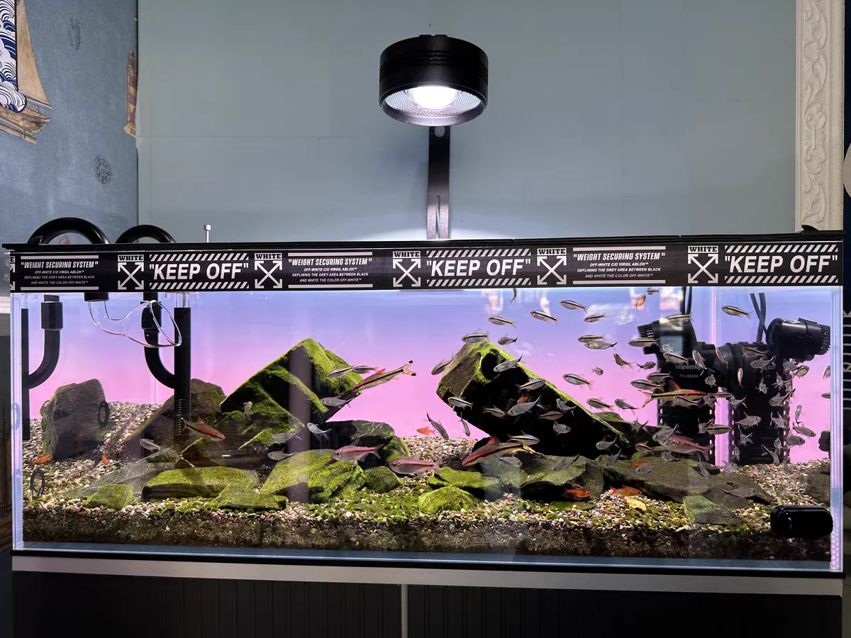 RGB 아크릴 어항 배경 화려한 그라데이션 발광 앱 제 - Aquarium Fish Colour 리뷰 및 가격