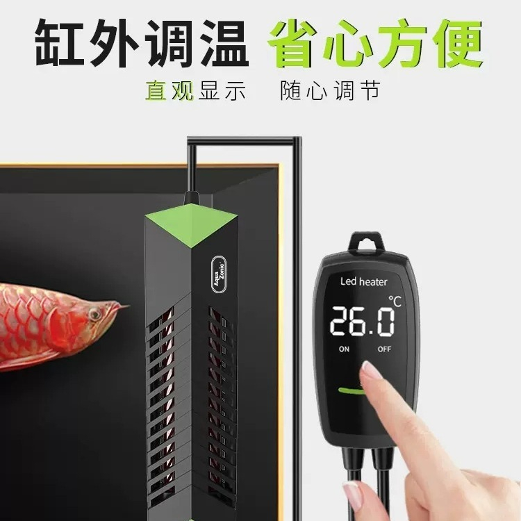 에너지 절약 1000W 수족관 히터, 드래곤피쉬 및 거 - Aquarium Fish Dragon 리뷰 및 가격