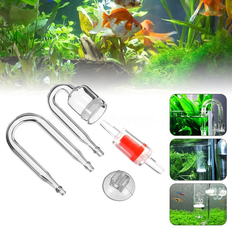 수족관 유리 탱크용 DIY CO2 디퓨저, 버블 반응기 - Aquarium Fish Buy 리뷰 및 가격