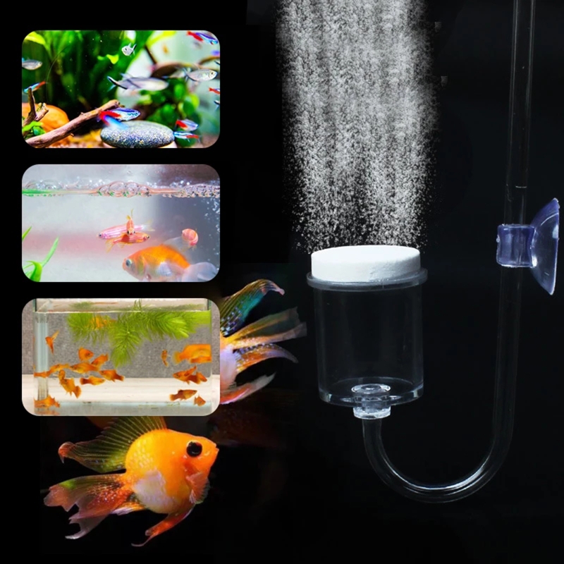 수족관 유리 탱크용 DIY CO2 디퓨저, 버블 반응기 - Aquarium Fish Buy 리뷰 및 가격