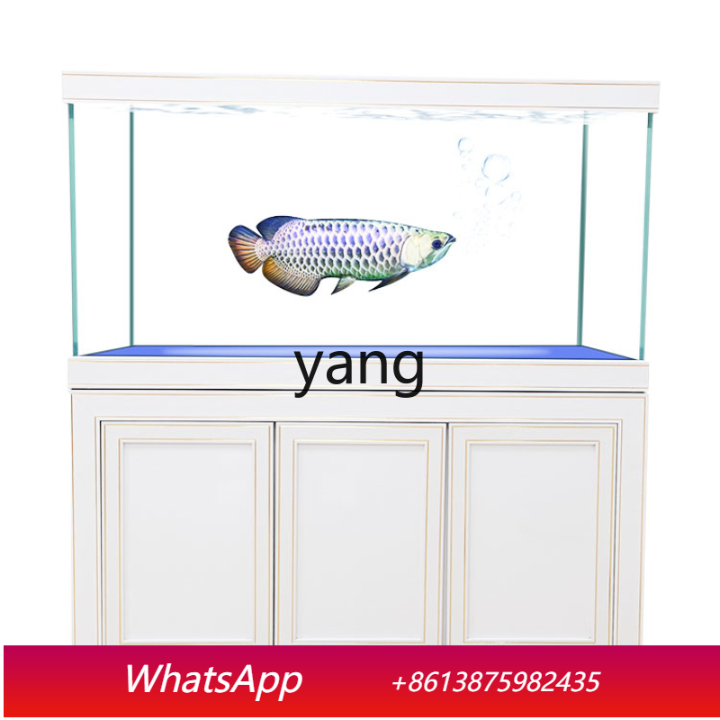 LH 슈퍼 화이트 글래스 중대형 고급 드래곤 어항 바닥 - Aquarium Fish Dragon 리뷰 및 가격