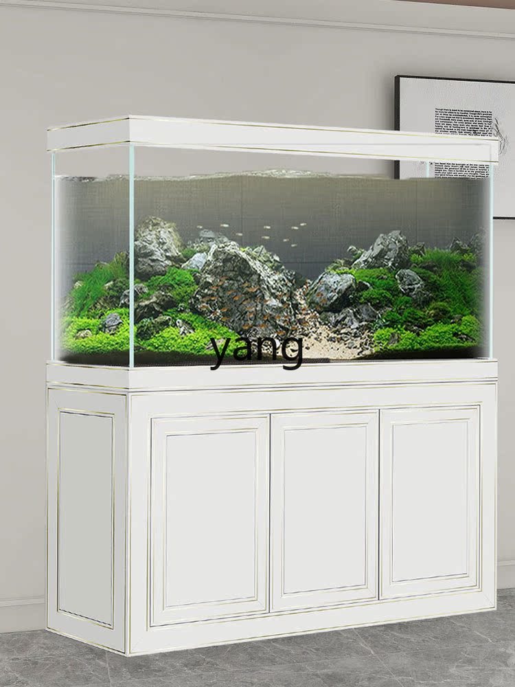 LH 슈퍼 화이트 글래스 중대형 고급 드래곤 어항 바닥 - Aquarium Fish Dragon 리뷰 및 가격