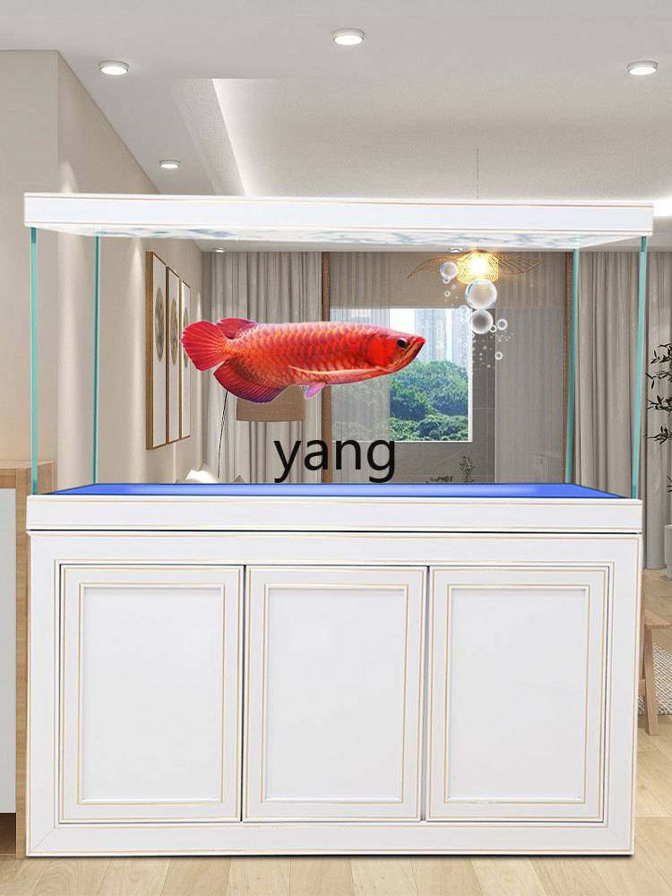 LH 슈퍼 화이트 글래스 중대형 고급 드래곤 어항 바닥 - Aquarium Fish Dragon 리뷰 및 가격